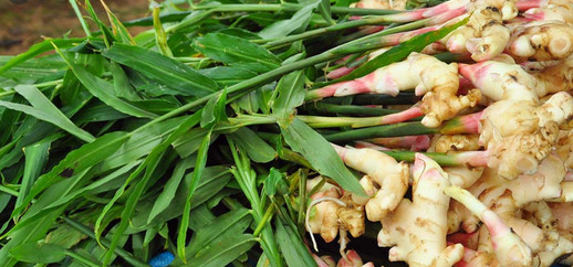 Organic Ginger
