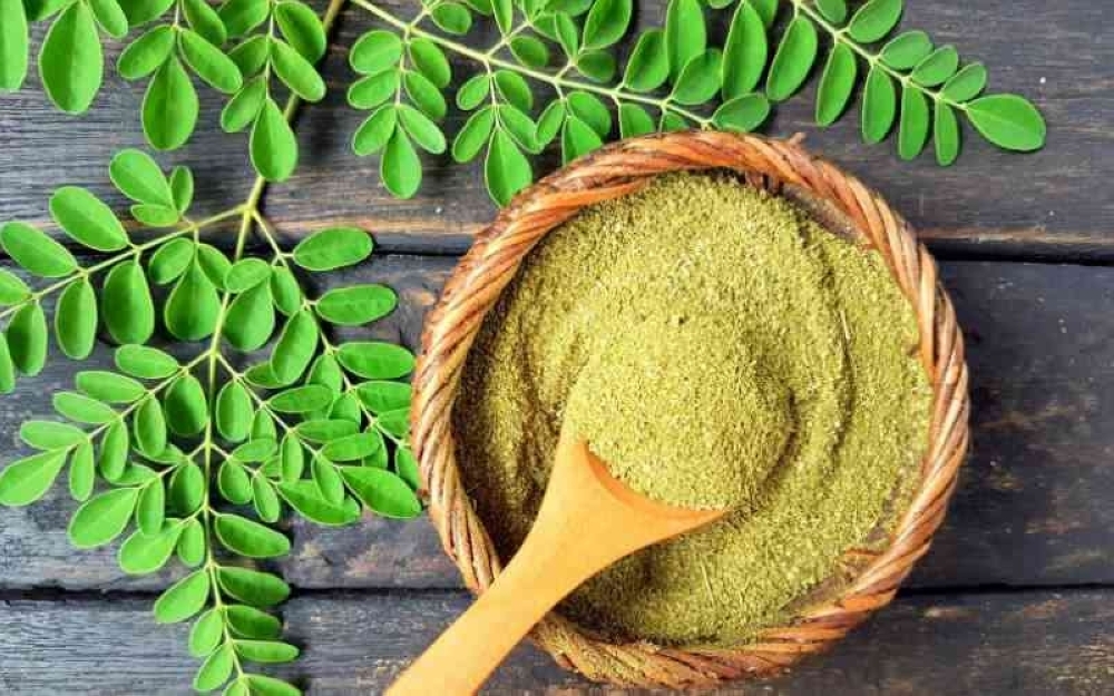 Organic Moringa
